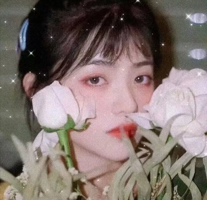 世界尽头的一场谋杀