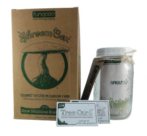 fungaea products