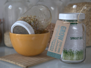 sproutkit with jar